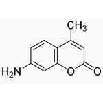 7-Amino-4-methylcoumarin|02029|26093-31-2
