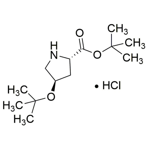 O-tert-Butyl-L-trans-4-hydroxyproline tert-butyl ester hydrochloride|12066|367453-05-2