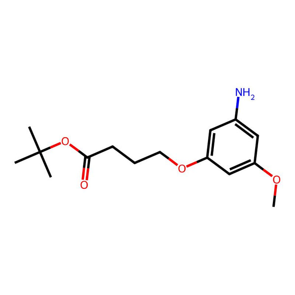 1,1-Dimethylethyl 4-(3-amino-5-methoxyphenoxy)butanoate|CS-0653640|2135641-18-6