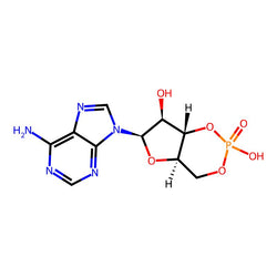 Adenosine Cyclophosphate Impurity 1|C4X-31731|32465-18-2