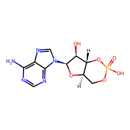 Adenosine Cyclophosphate Impurity 1|C4X-31731|32465-18-2
