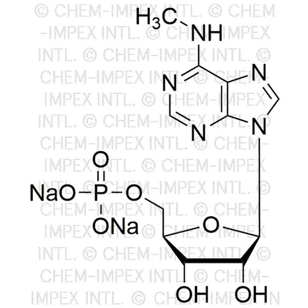 N6-Methyladenosine-5'-monophosphate sodium salt|00587|81921-35-9