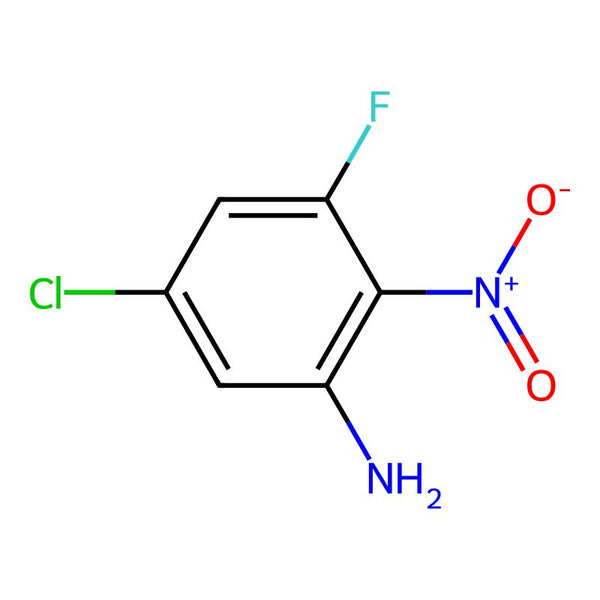 5-Chloro-3-fluoro-2-nitroaniline|CS-0173457|1352457-23-8