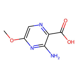 3-Amino-5-methoxypyrazine-2-carboxylic acid|CS-0199608|1262860-66-1