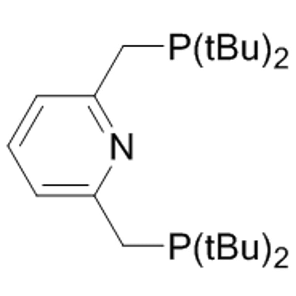 2,6-Bis(di-t-butylphosphinomethyl)pyridine, 99%|15-0063|338800-13-8