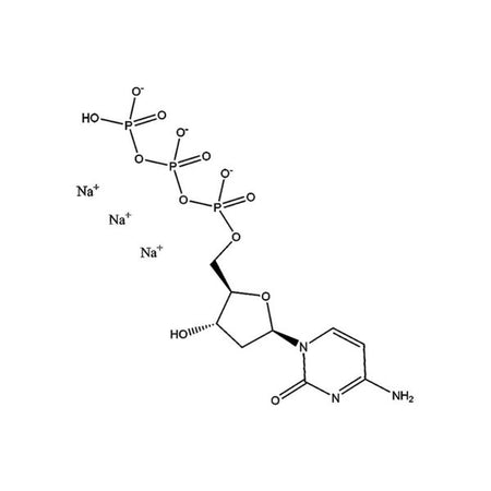 2′-Deoxycytidine-5′-triphosphate trisodium salt, 99%, 100 mM solution in H2O|975496|109909-44-6