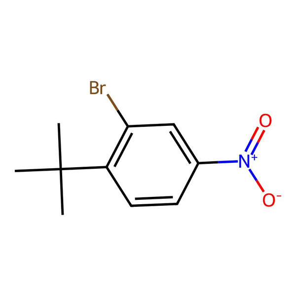 2-Bromo-1-(tert-butyl)-4-nitrobenzene|CS-0317450|6310-17-4