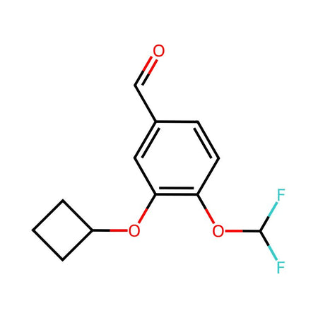 3-Cyclobutoxy-4-(difluoromethoxy)benzaldehyde|C1676322|290307-39-0