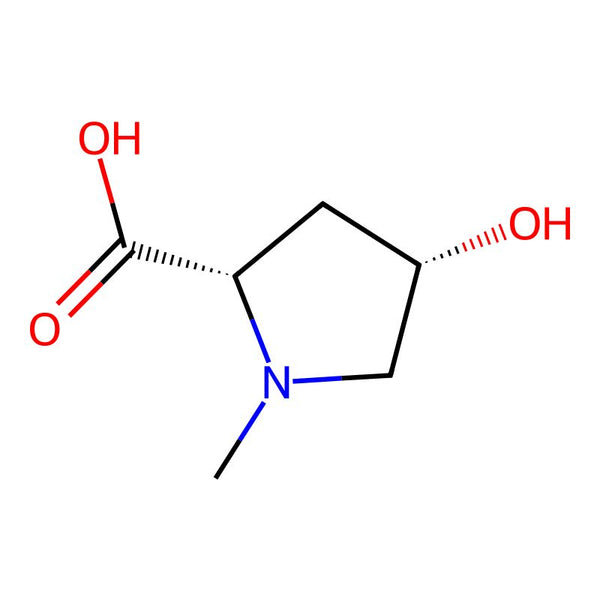 N-Methyl-L-trans-4-hydroxyproline hydrochloride|06338|67463-44-9