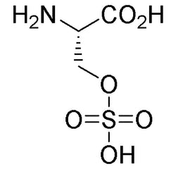 O-Sulfo-L-serine|07087|626-69-7