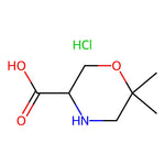 6,6-Dimethylmorpholine-3-carboxylicacidhydrochloride|CS-0172041|1255098-60-2