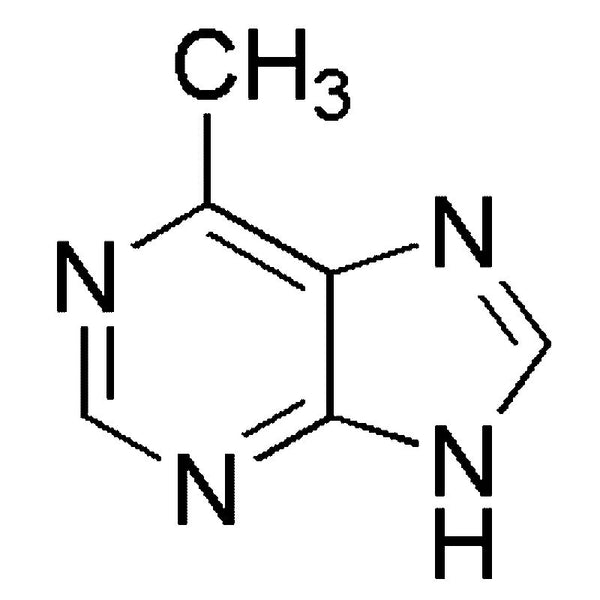 6-Methylpurine|02899|2004-03-7