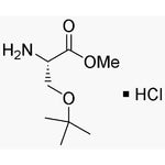 O-tert-Butyl-L-serine methyl ester hydrochloride|03141|17114-97-5