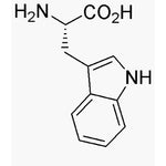 L-Tryptophan|00300|73-22-3