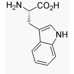 L-Tryptophan|00300|73-22-3