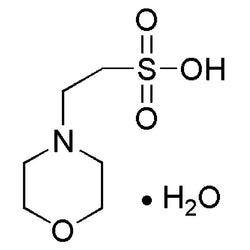 MES Monohydrate|21885|145224-94-8