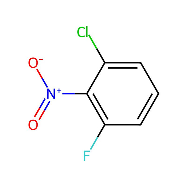 2-Chloro-6-fluoronitrobenzene|CS-W003306|64182-61-2