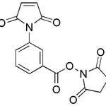 3-Maleimidobenzoic acid N-hydroxysuccinimide ester|01736|58626-38-3