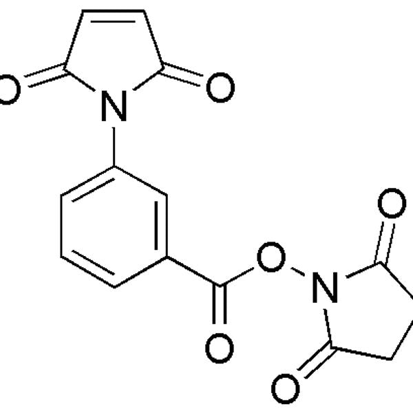 3-Maleimidobenzoic acid N-hydroxysuccinimide ester|01736|58626-38-3