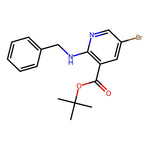 2-Benzylamino-5-bromo-nicotinic acid tert-butyl ester, 95%|07-0229|2208788-33-2