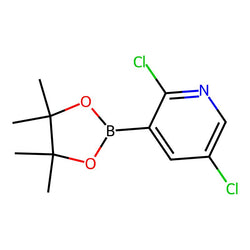 2,5-Dichloro-3-(4,4,5,5-tetramethyl-1,3,2-dioxaborolan-2-yl)pyridine|CS-0175529|1073371-98-8