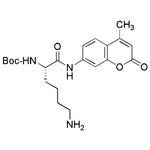 Na-Boc-L-lysine 7-amido-4-methylcoumarin acetate salt|11605|116883-12-6