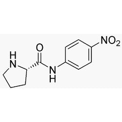 L-Proline 4-nitroanilide|06203|7369-91-7