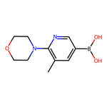 (5-Methyl-6-morpholinopyridin-3-yl)boronic acid|CS-0338831|1191062-85-7