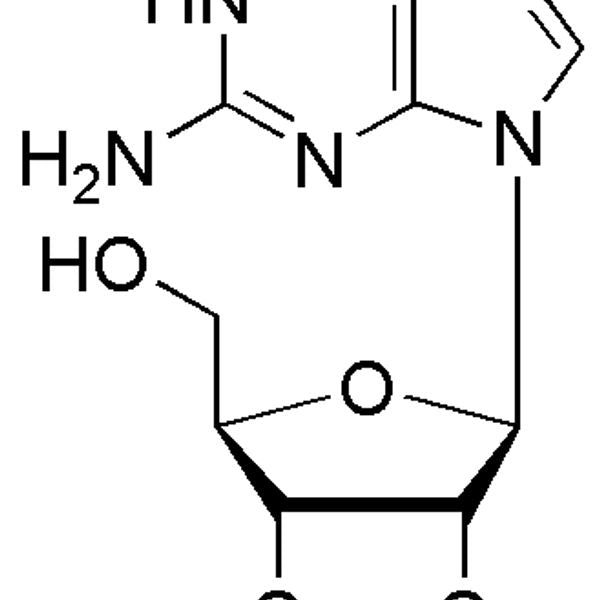 2',3'-O-Isopropylideneguanosine|30047|362-76-5