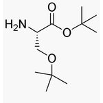 O-tert-Butyl-L-serine t-butyl ester|06206|48067-24-9