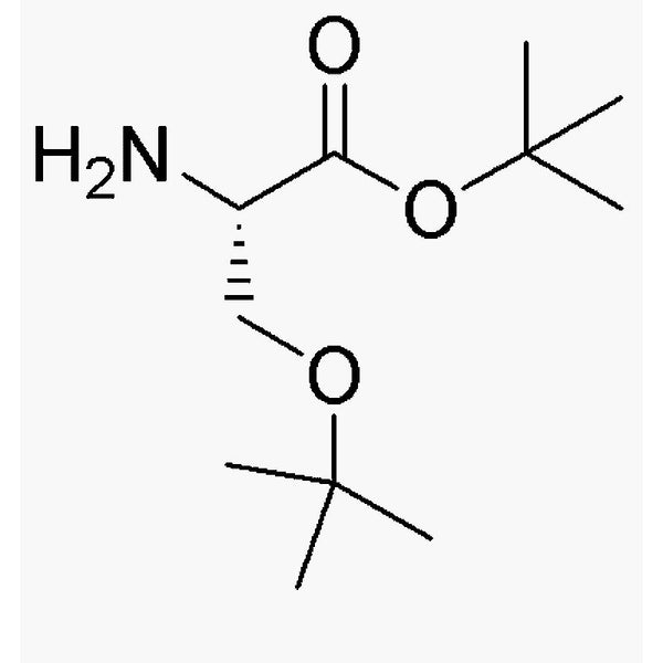 O-tert-Butyl-L-serine t-butyl ester|06206|48067-24-9