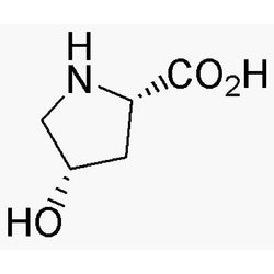 cis-L-4-Hydroxyproline|05947|618-27-9