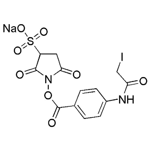 Sulfosuccinimidyl (4-iodoacetyl)aminobenzoate|23150|144650-93-1