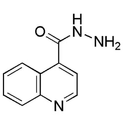 Quinoline-4-carboxylic acid hydrazide|19505|29620-62-0