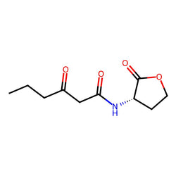 N-(3-Oxohexanoyl)-L-homoserine lactone|CS-W009522|143537-62-6
