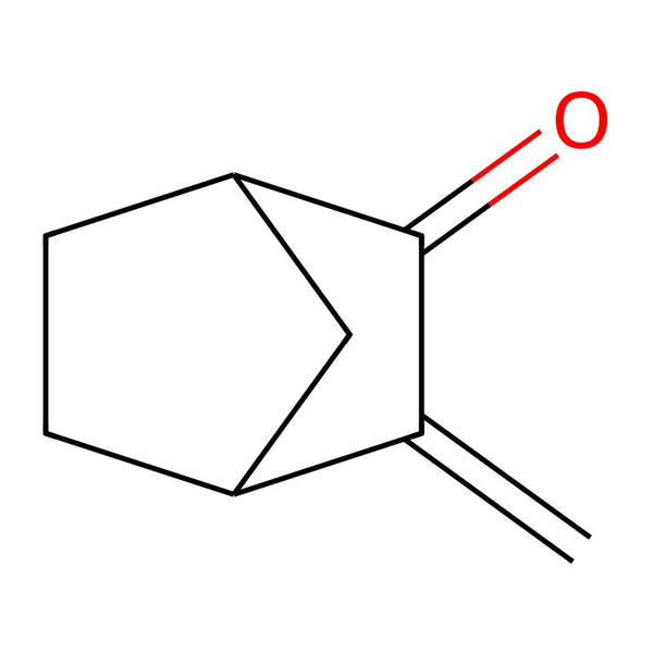 3-Methylene-2-norbornanone,97% (stabilized with MEHQ)|CS-0186844|5597-27-3