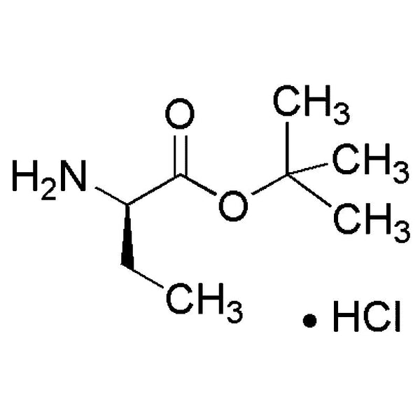 D-2-Aminobutyric acid tert-butyl ester hydrochloride|14929|313994-32-0